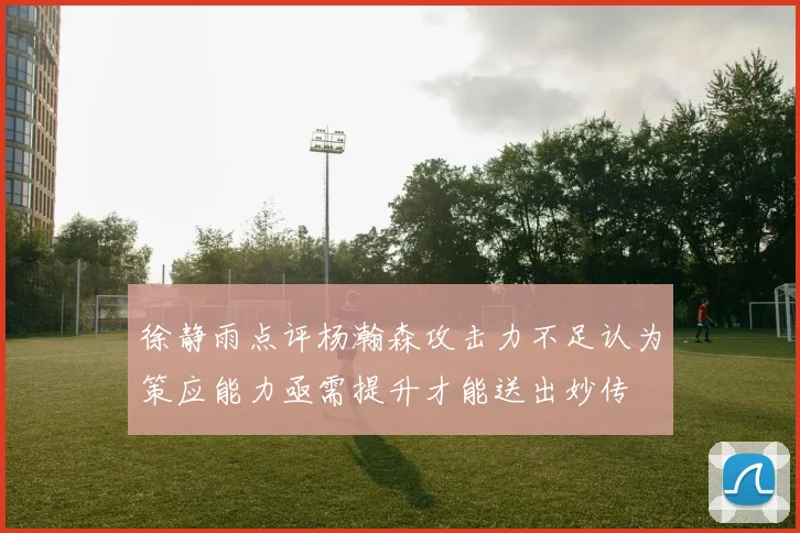 徐静雨点评杨瀚森攻击力不足认为策应能力亟需提升才能送出妙传